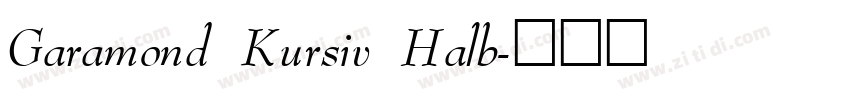 Garamond Kursiv Halb字体转换